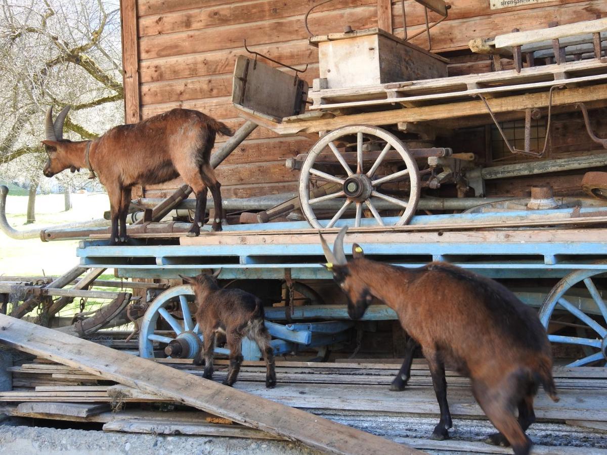 Ferienhaus Hoellwarth Stumm Exteriör bild